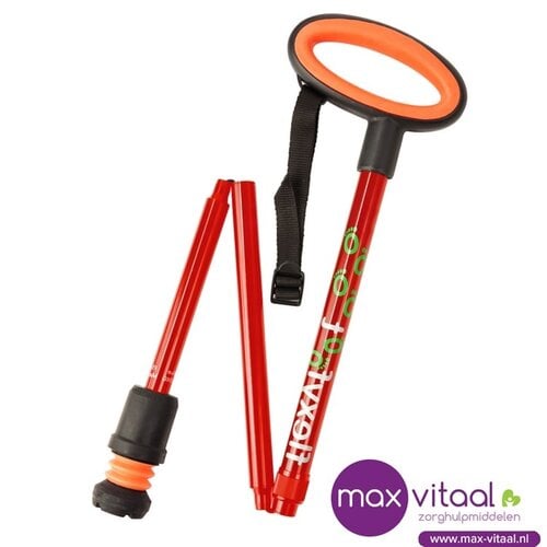 Wandelstok met ovalen handvat