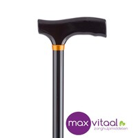 Wandelstok aluminium