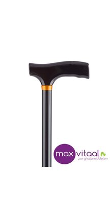 Wandelstok aluminium