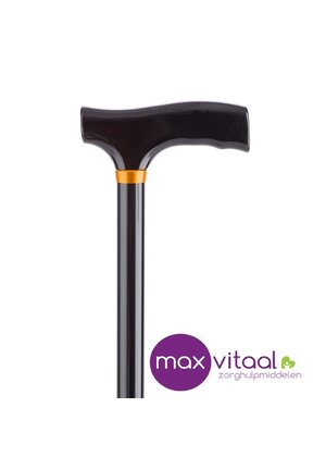 Wandelstok aluminium