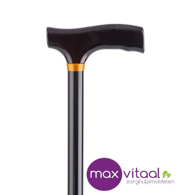 Wandelstok aluminium