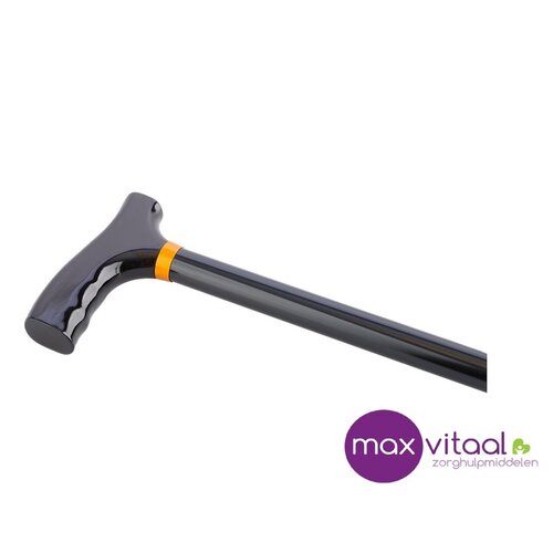 Wandelstok aluminium