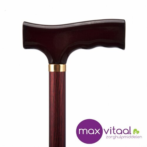 Wandelstok aluminium