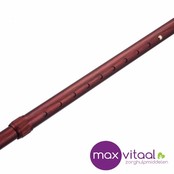 Wandelstok aluminium