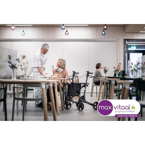 Topro Neuro, Parkinson rollator