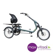 Van Raam Easy Rider 3  - Driewielfiets incl. verlichting, slot, bel, parkeerrem,armleuning,voetengesp