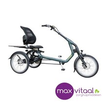 Van Raam Easy Rider 3  - Driewielfiets incl. verlichting, slot, bel, parkeerrem,armleuning,voetengesp