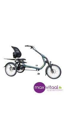Van Raam Easy Rider 3  - Driewielfiets incl. verlichting, slot, bel, parkeerrem,armleuning,voetengesp