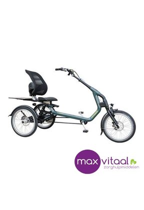 Van Raam Easy Rider 3  - Driewielfiets incl. verlichting, slot, bel, parkeerrem,armleuning,voetengesp