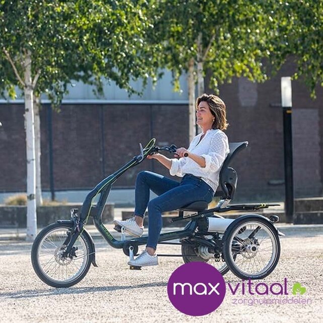 Van Raam Easy Rider 3  - Driewielfiets incl. verlichting, slot, bel, parkeerrem,armleuning,voetengesp