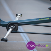 Van Raam Easy Rider 3  - Driewielfiets incl. verlichting, slot, bel, parkeerrem,armleuning,voetengesp