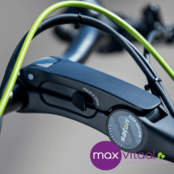 Van Raam Easy Rider 3  - Driewielfiets incl. verlichting, slot, bel, parkeerrem,armleuning,voetengesp