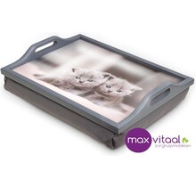 Schootkussen / lap tray met kittens