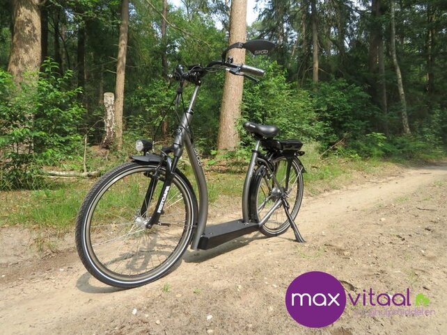 SitGo Loopfiets SitGo Loopfiets