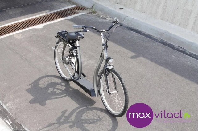 SitGo Loopfiets SitGo Loopfiets