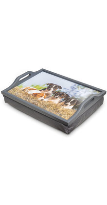Schootkussen / lap tray met puppies