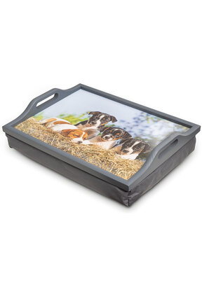 Schootkussen / lap tray met puppies