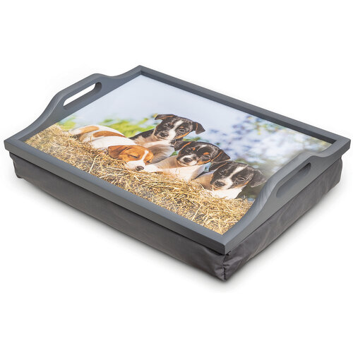 Schootkussen / lap tray met puppies
