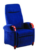 Fitform 232 Wellness