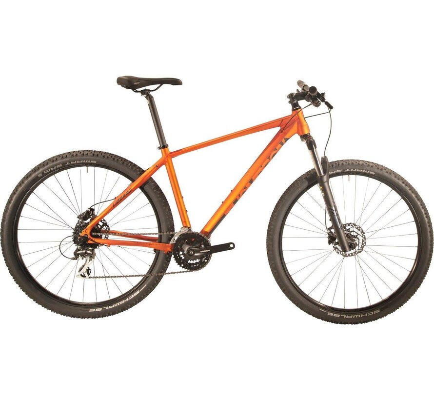 Fiets Thompson MTB Lizzard 29"