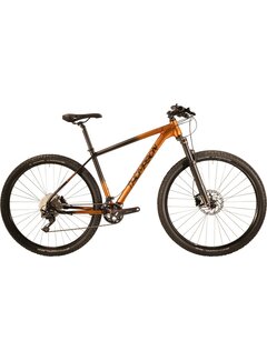 Thompson Fiets Thompson mtb Element comp 29" 2x9v