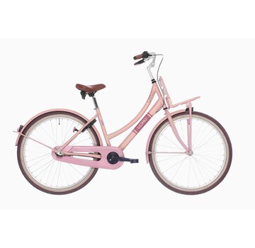 Bike Fun Fiets Bikefun 26" 3v load meisjes