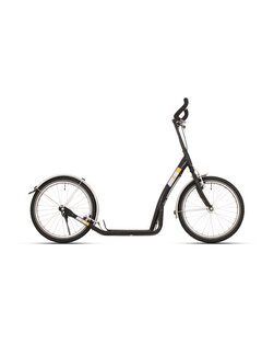 Autoped Bike 2 Go 20" zwart