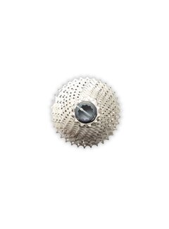 Xtrabike Cassette Xtrabike 12v 11-34 shimano