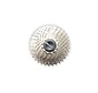 Cassette Xtrabike 12v 11-34 shimano