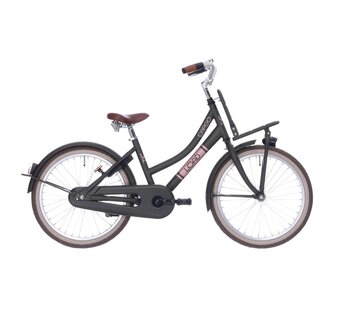Bike Fun Kids Fiets Bikefun 20" RN Load meisjes