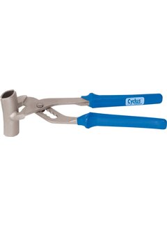 Cyclus Bandentang Cyclus