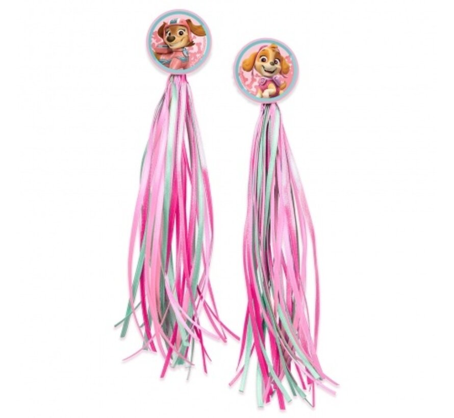 Handvat SP kids streamers paw patrol