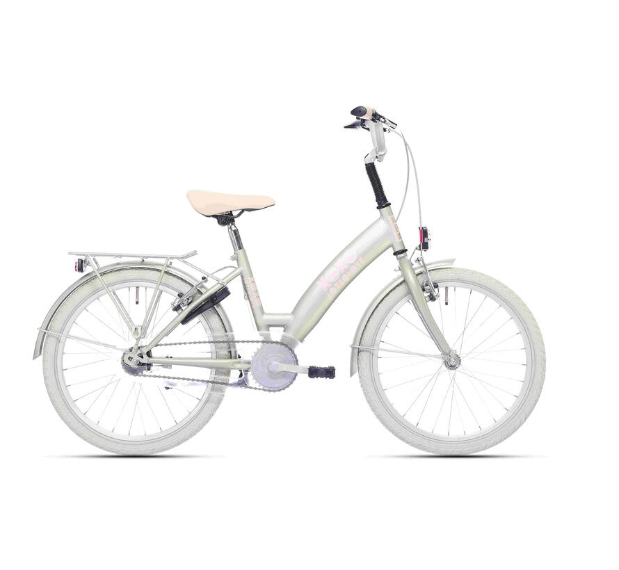 Fiets Bikefun 20" RN Lots of Love