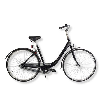 Fiets Aalt-10 dames enkele buis 49cm