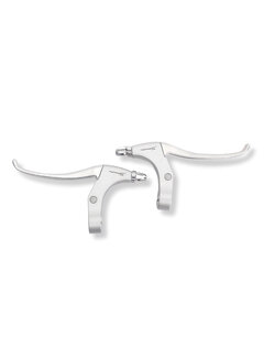 Remgrepenset Saccon zilver/zilver