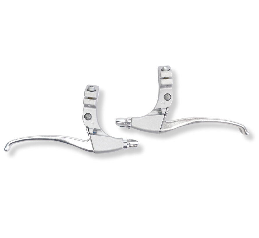 Remgrepenset Saccon zilver/zilver