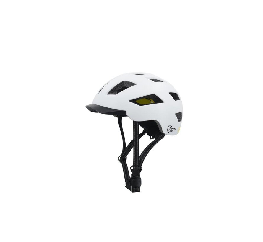 Helm Safety labs E-Bahn 2.0 MIPS