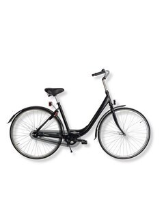 Fiets Aalt-10 dames enkele buis 49cm