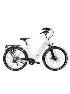 KODIAK Fiets Kodiak Kenora d51 platinum grey