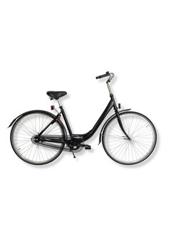 Fiets Aalt-10 dames enkele buis 49cm