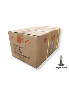 CST Bnb Cst 28x1.50-2.25