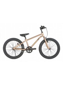 U-Go Fiets U Go Scout 20 RN jongens sunstone