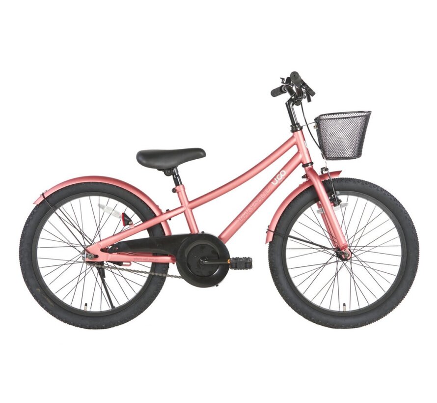 Fiets U Go Imagine 20 RN meisjes wild