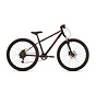 Onbekend==Fiets Bikefun 26 The Beast 6v