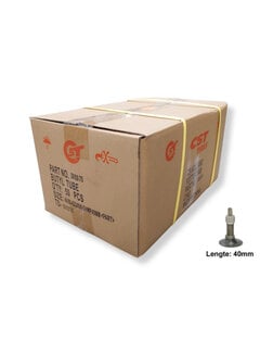 CST Bnb Cst 28x1.50-2.25