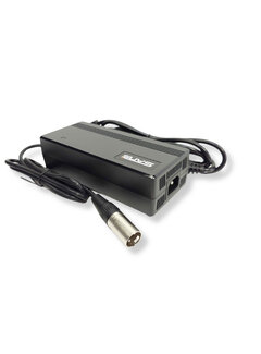 Acculader SSLC165V55