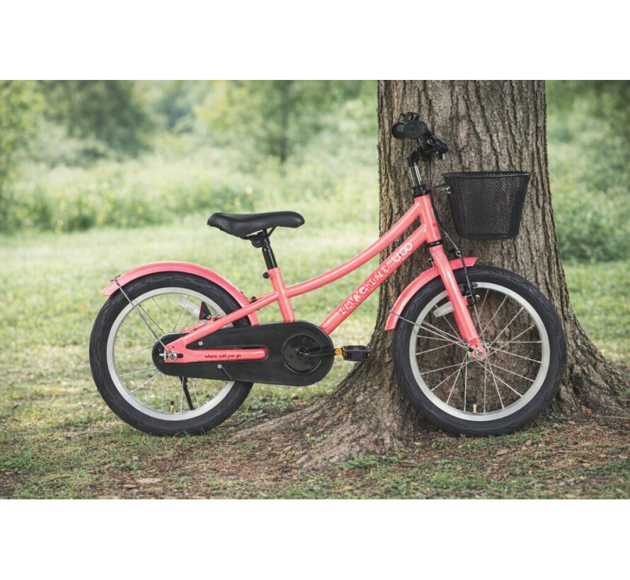 Fiets U Go Imagine 16 RN meisjes bubble