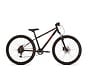 Fiets Bikefun 24 The Beast 6v