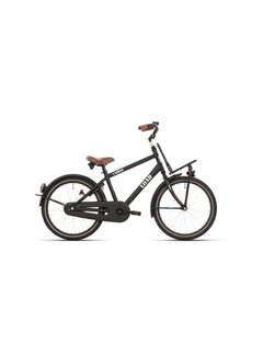 Bike Fun Kids Fiets Bikefun 20 RN Load jongens