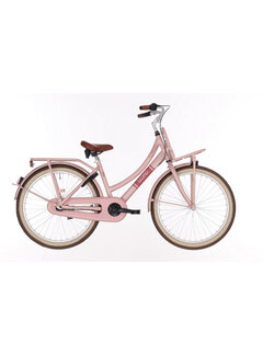Bike Fun Kids Fiets Bikefun 24 3v Load meisjes